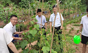 经济管理学院领导班子与学生共上一堂劳动实践课